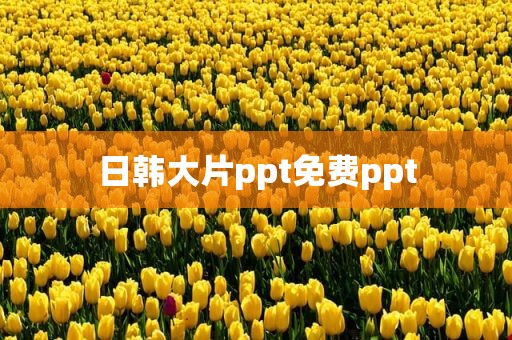 日韩大片ppt免费ppt