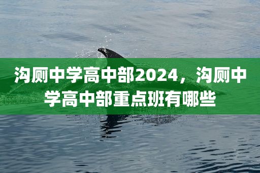 沟厕中学高中部2024，沟厕中学高中部重点班有哪些