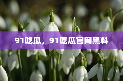 91吃瓜，91吃瓜官网黑料