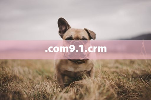 .com9.1.crm