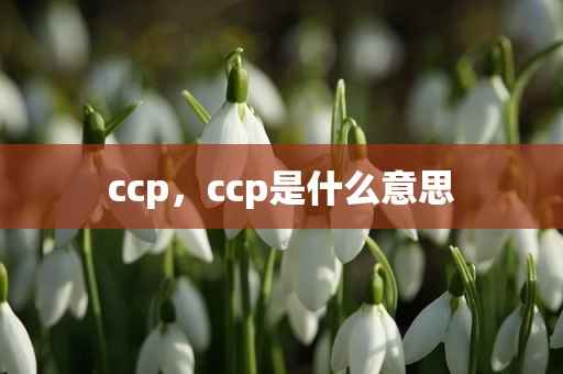 ccp，ccp是什么意思