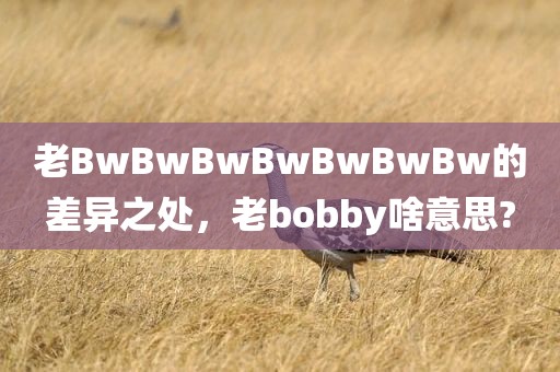 老BwBwBwBwBwBwBw的差异之处，老bobby啥意思?