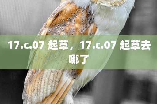 17.c.07 起草，17.c.07 起草去哪了