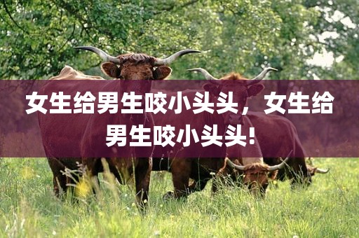 女生给男生咬小头头，女生给男生咬小头头!