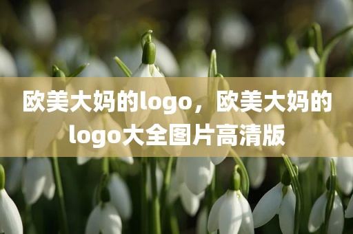 欧美大妈的logo，欧美大妈的logo大全图片高清版