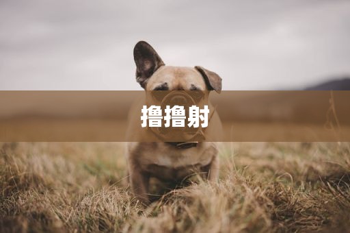 撸撸射