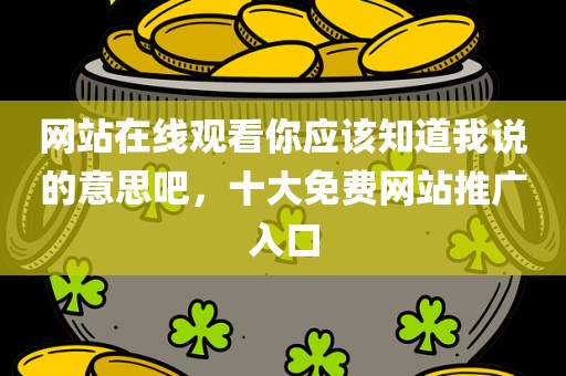 网站在线观看你应该知道我说的意思吧，十大免费网站推广入口