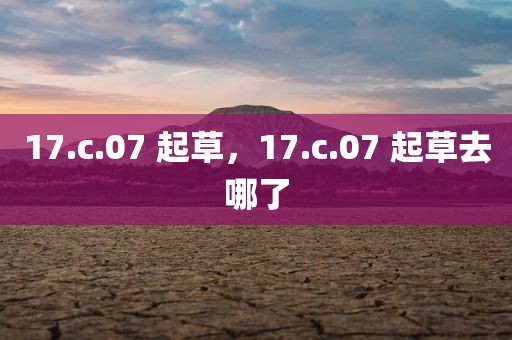 17.c.07 起草，17.c.07 起草去哪了