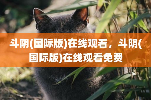 斗阴(国际版)在线观看，斗阴(国际版)在线观看免费