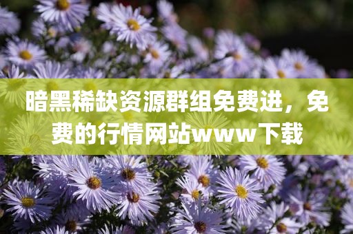 暗黑稀缺资源群组免费进，免费的行情网站www下载