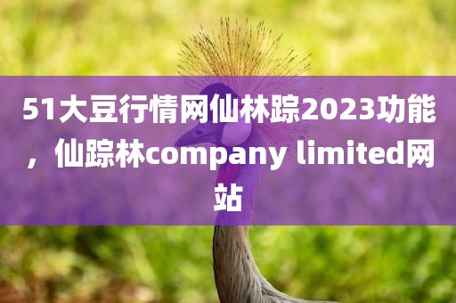 51大豆行情网仙林踪2023功能，仙踪林company limited网站