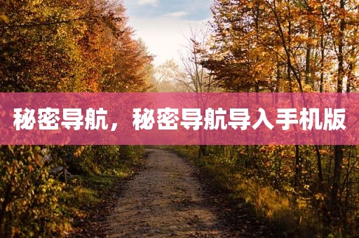 秘密导航，秘密导航导入手机版