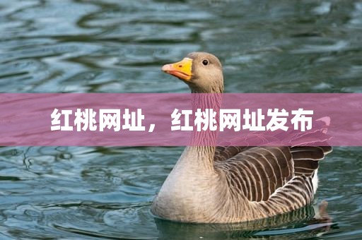红桃网址，红桃网址发布