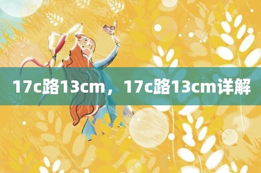 17c路13cm，17c路13cm详解