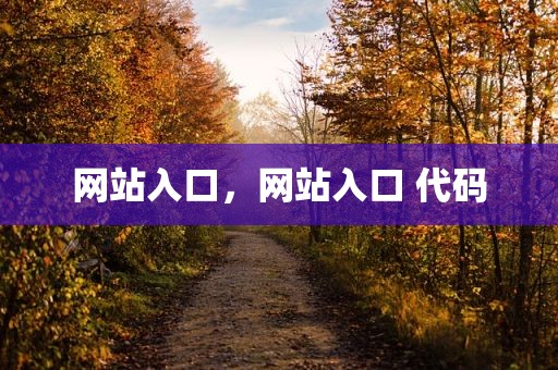 网站入口，网站入口 代码