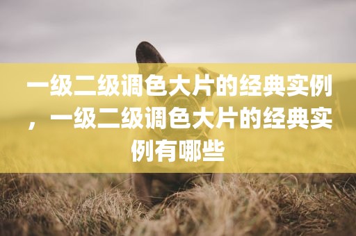 一级二级调色大片的经典实例，一级二级调色大片的经典实例有哪些