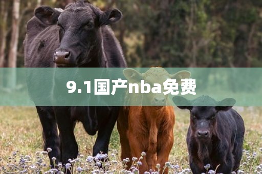 9.1国产nba免费
