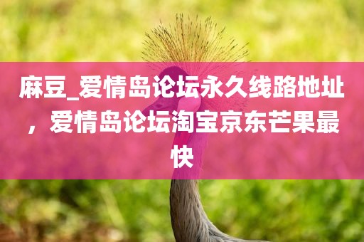 麻豆_爱情岛论坛永久线路地址，爱情岛论坛淘宝京东芒果最快