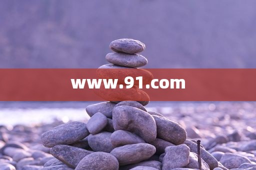 www.91.com
