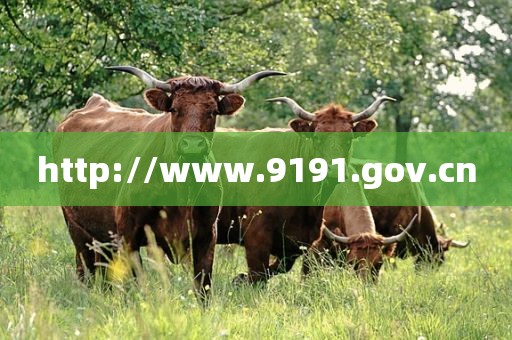 http://www.9191.gov.cn