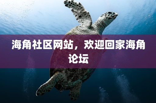 海角社区网站，欢迎回家海角论坛