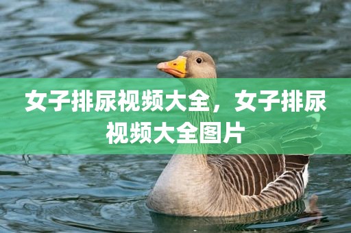 女子排尿视频大全，女子排尿视频大全图片