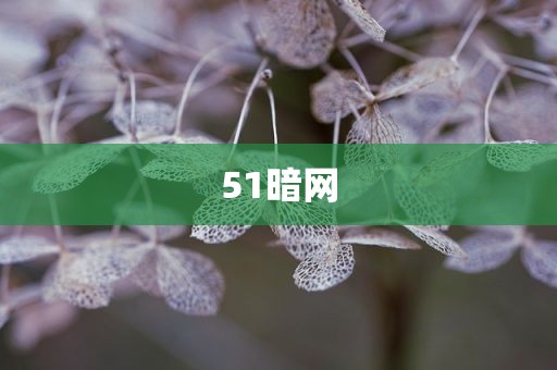 51暗网