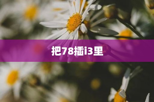 把78插i3里