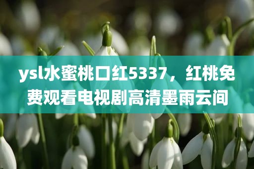 ysl水蜜桃口红5337，红桃免费观看电视剧高清墨雨云间