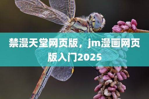 禁漫天堂网页版，jm漫画网页版入门2025