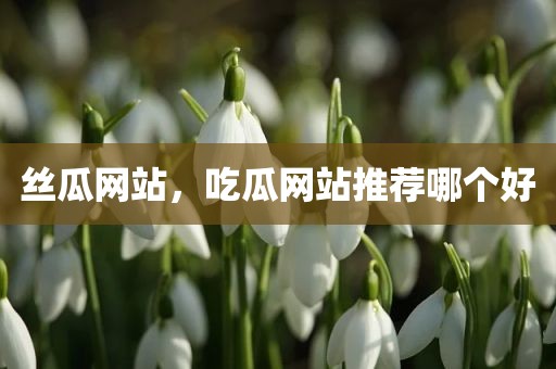 丝瓜网站，吃瓜网站推荐哪个好