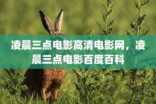 凌晨三点电影高清电影网，凌晨三点电影百度百科