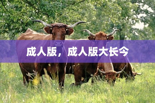成人版，成人版大长今