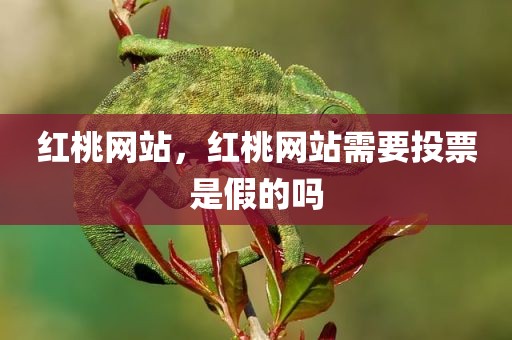 红桃网站，红桃网站需要投票是假的吗