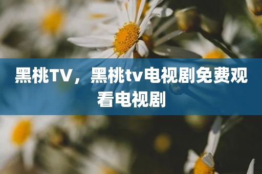 黑桃TV，黑桃tv电视剧免费观看电视剧