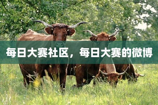 每日大赛社区，每日大赛的微博