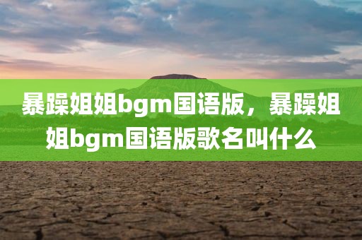 暴躁姐姐bgm国语版，暴躁姐姐bgm国语版歌名叫什么