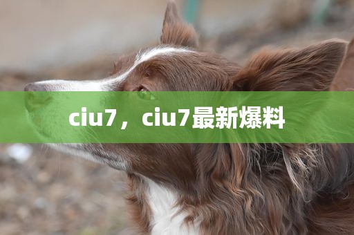 ciu7，ciu7最新爆料