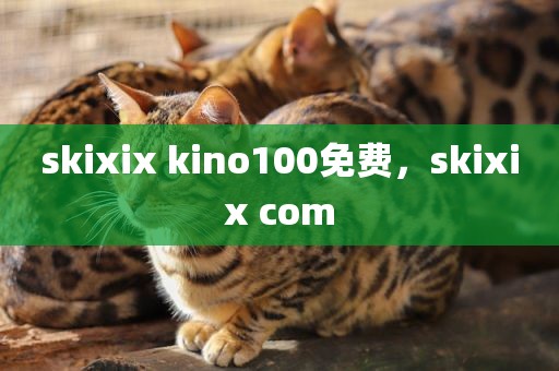 skixix kino100免费，skixix com