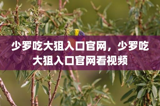 少罗吃大狙入口官网，少罗吃大狙入口官网看视频
