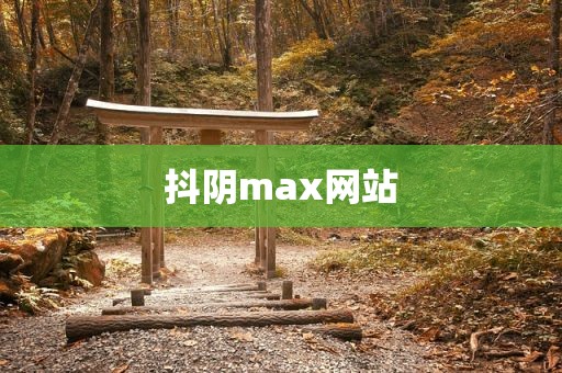 抖阴max网站
