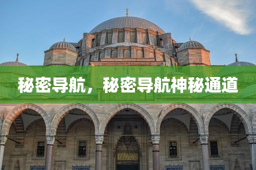 秘密导航，秘密导航神秘通道