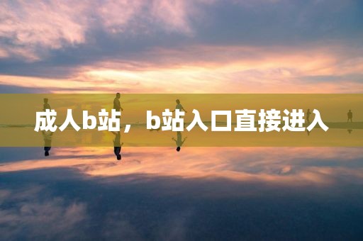 成人b站，b站入口直接进入