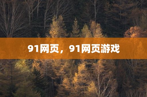91网页，91网页游戏