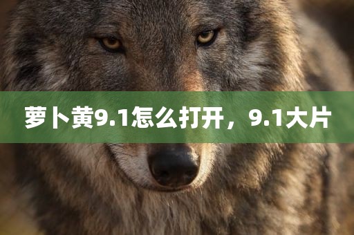 萝卜黄9.1怎么打开，9.1大片