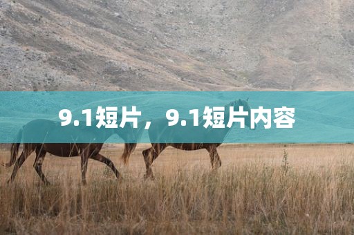 9.1短片，9.1短片内容
