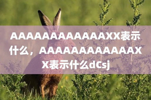 AAAAAAAAAAAAXX表示什么，AAAAAAAAAAAAXX表示什么dCsj