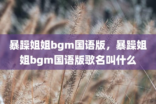 暴躁姐姐bgm国语版，暴躁姐姐bgm国语版歌名叫什么