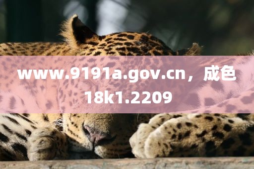www.9191a.gov.cn，成色18k1.2209