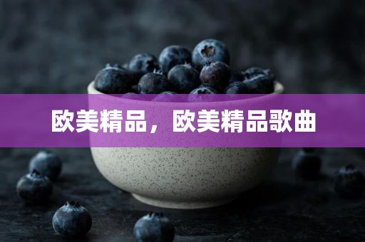 欧美精品，欧美精品歌曲